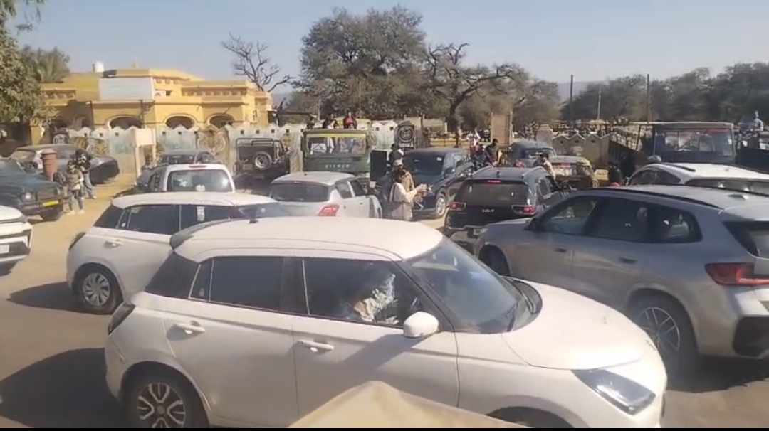 सरिस्का टाइगर रिजर्व में सफारी फुल