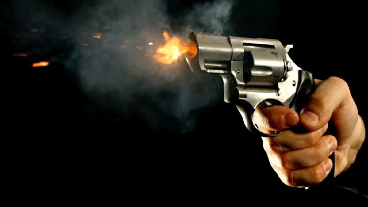 Software Engineer Shot Dead By beau; Body Recovered From Hotel In Pune's Hinjewadi Software Engineer Shot Dead By Her Lover; Body Recovered From Hotel In Hinjewadi