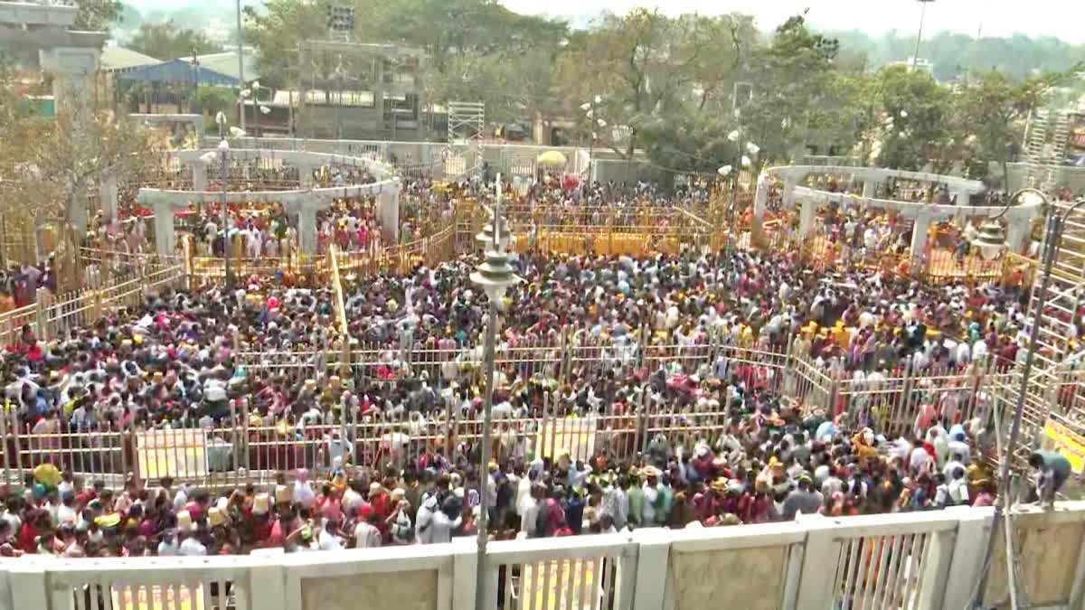 'Medaram Maha Jathara' Tribal Festival Begins In Telangana, Massive Turnout Expected