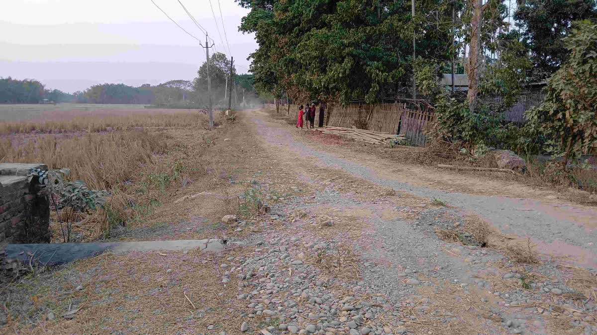 Irregularities in road construction under the MGNREGA in Sarupathar