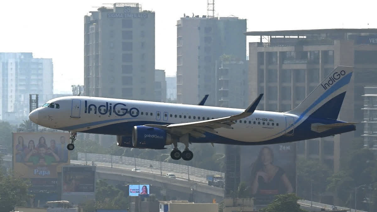 INDIGO