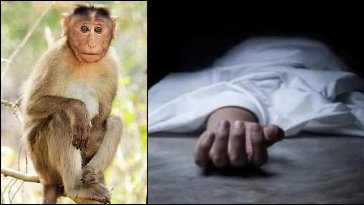 A 29-year-old man, infected with Kyasanur Forest Disease (KFD) or monkey fever, died on Wednesday at Karnataka's Manipal.