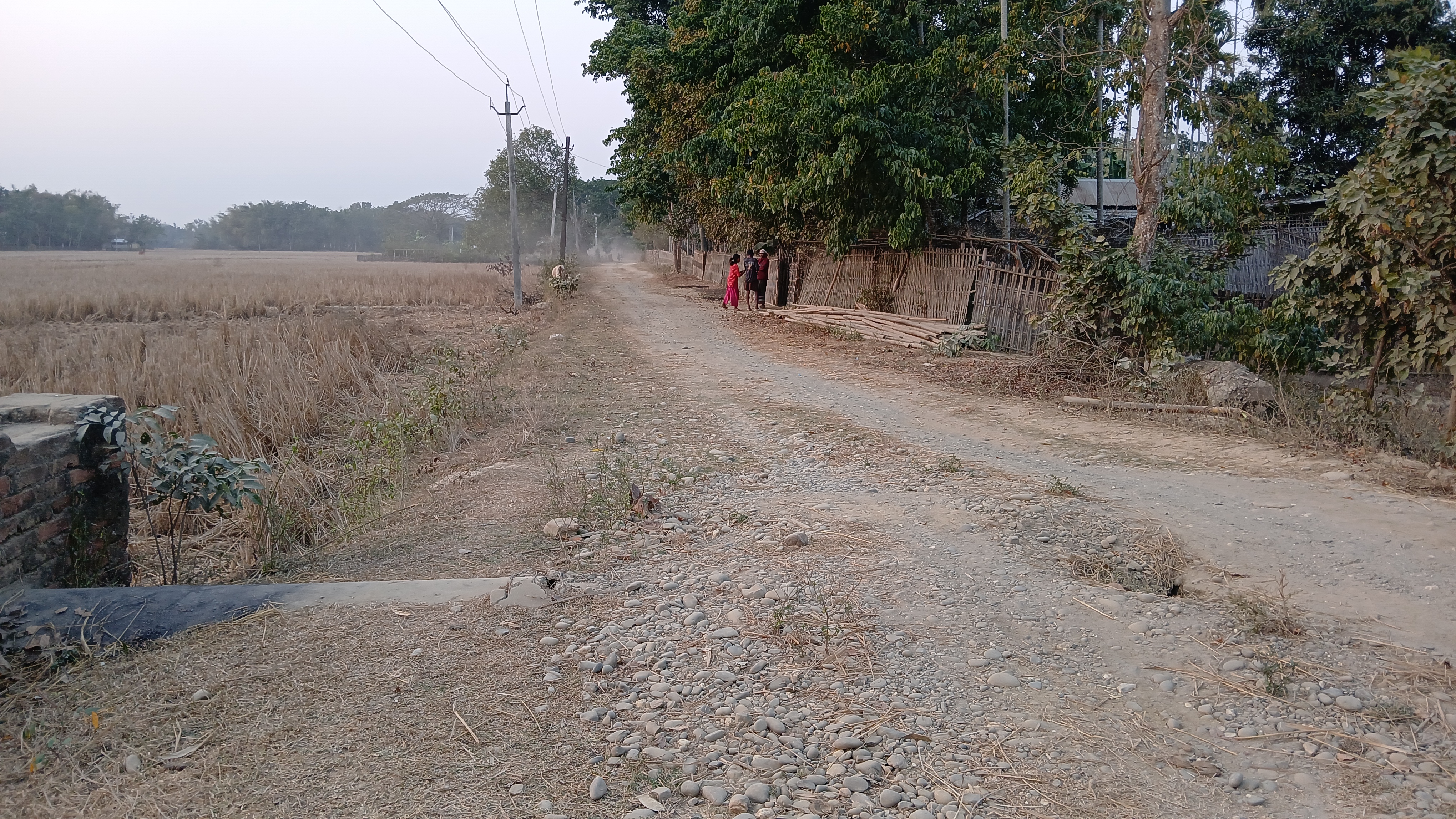 Irregularities in road construction under the MGNREGA in Sarupathar