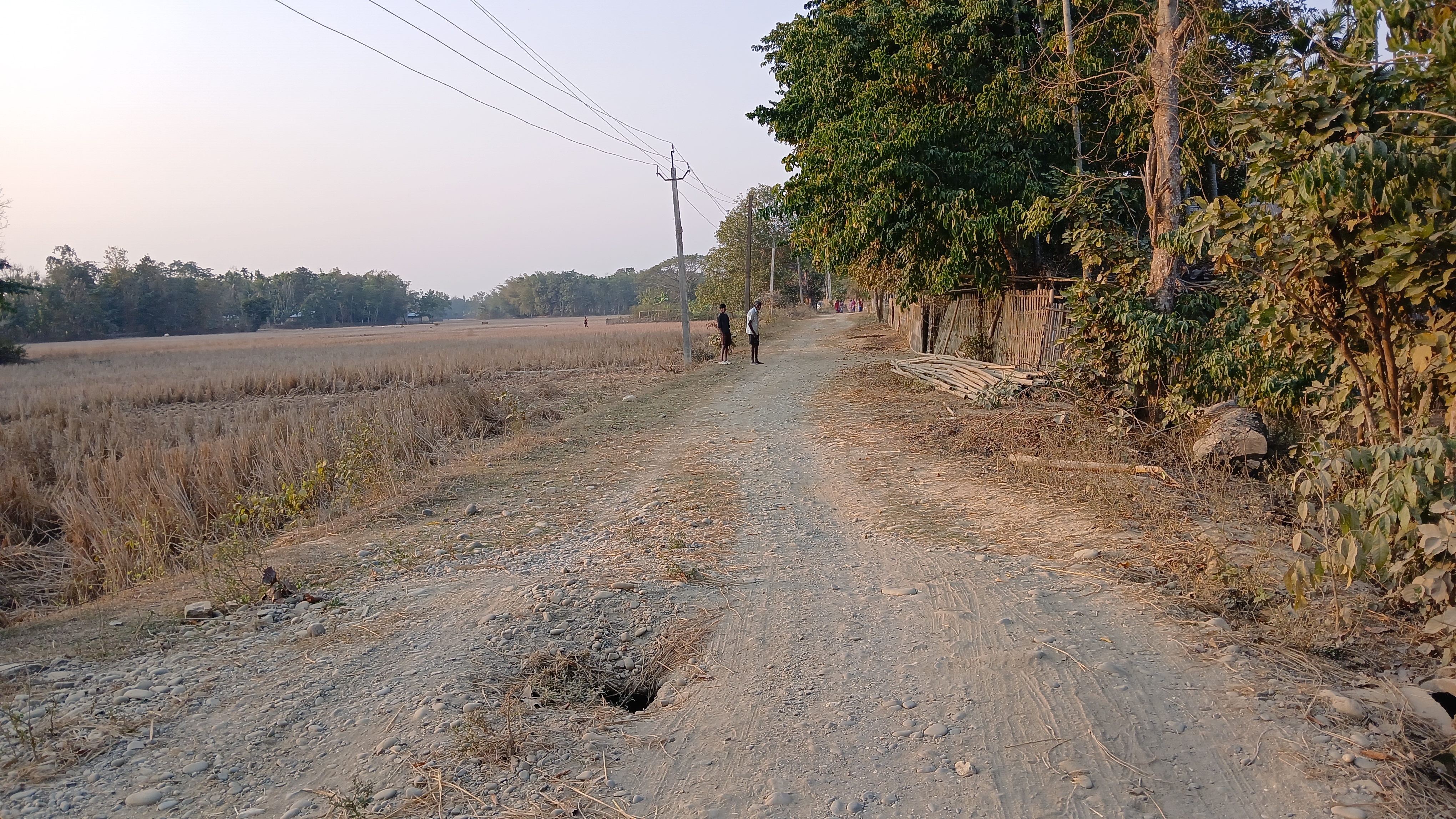 Irregularities in road construction under the MGNREGA in Sarupathar