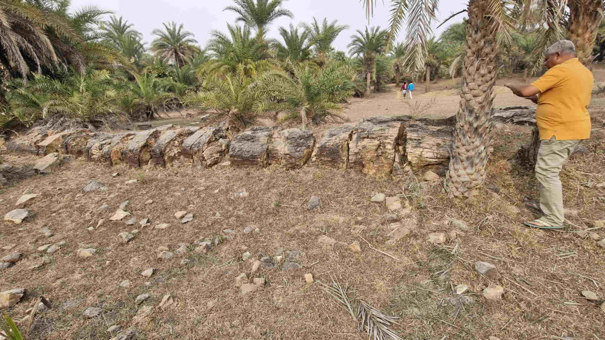 FOSSIL FOUND IN PAKUR