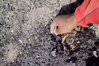 PAURI GARHWAL ROAD CONSTRUCTION
