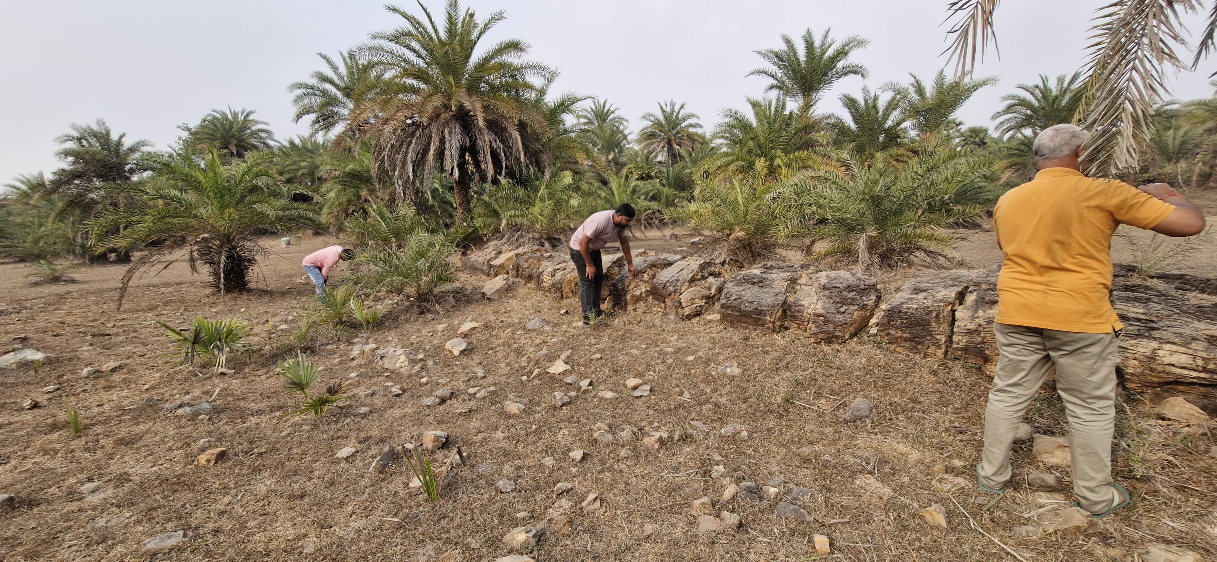 FOSSIL FOUND IN PAKUR