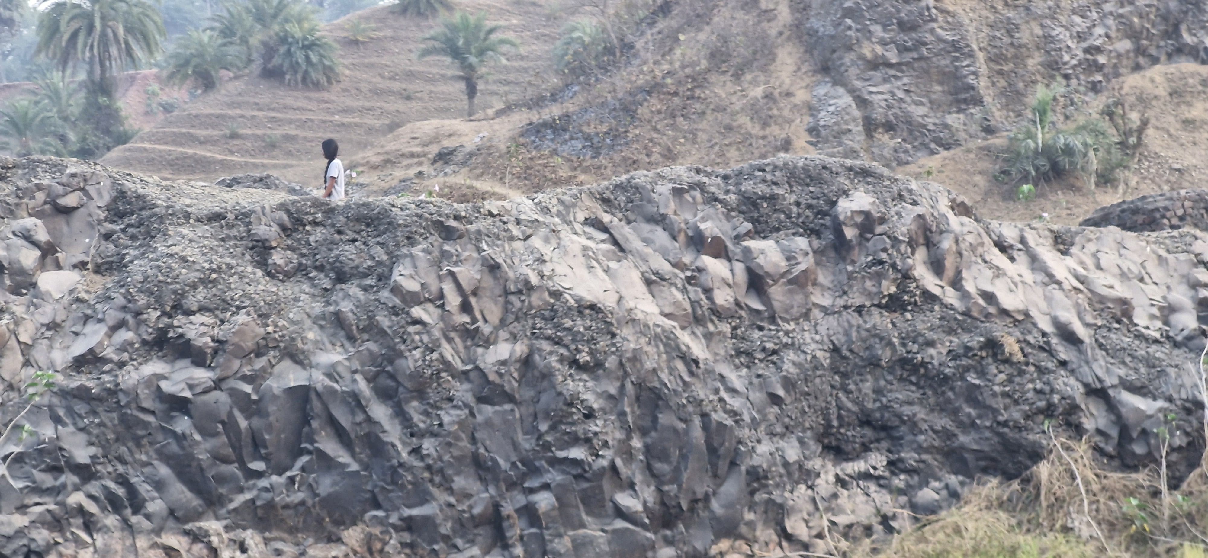 FOSSIL FOUND IN PAKUR