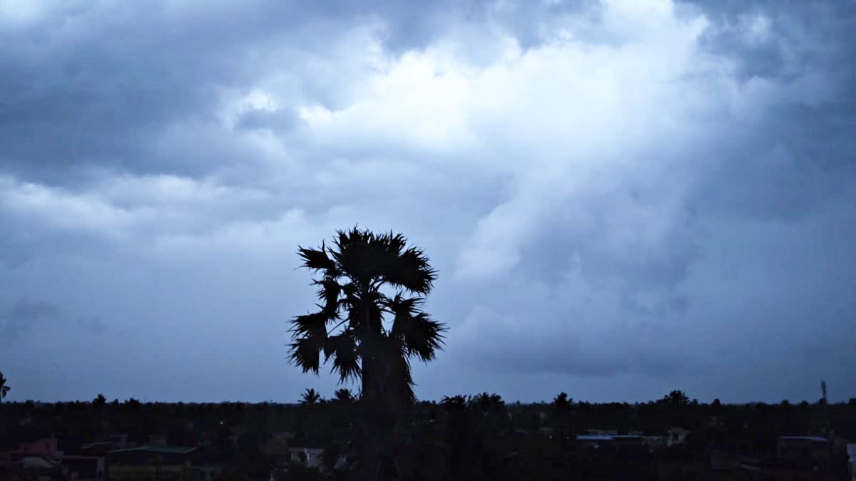 WEST BENGAL WEATHER UPDATE