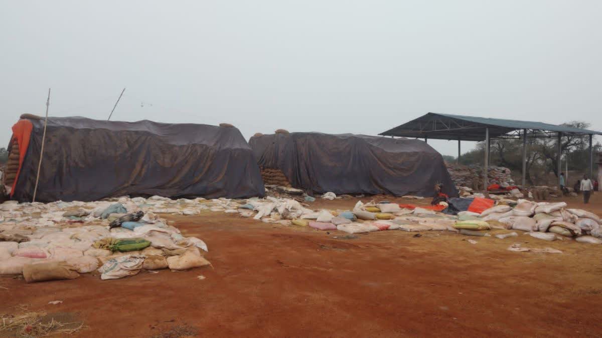 PADDY SITUATION IN BEMETARA