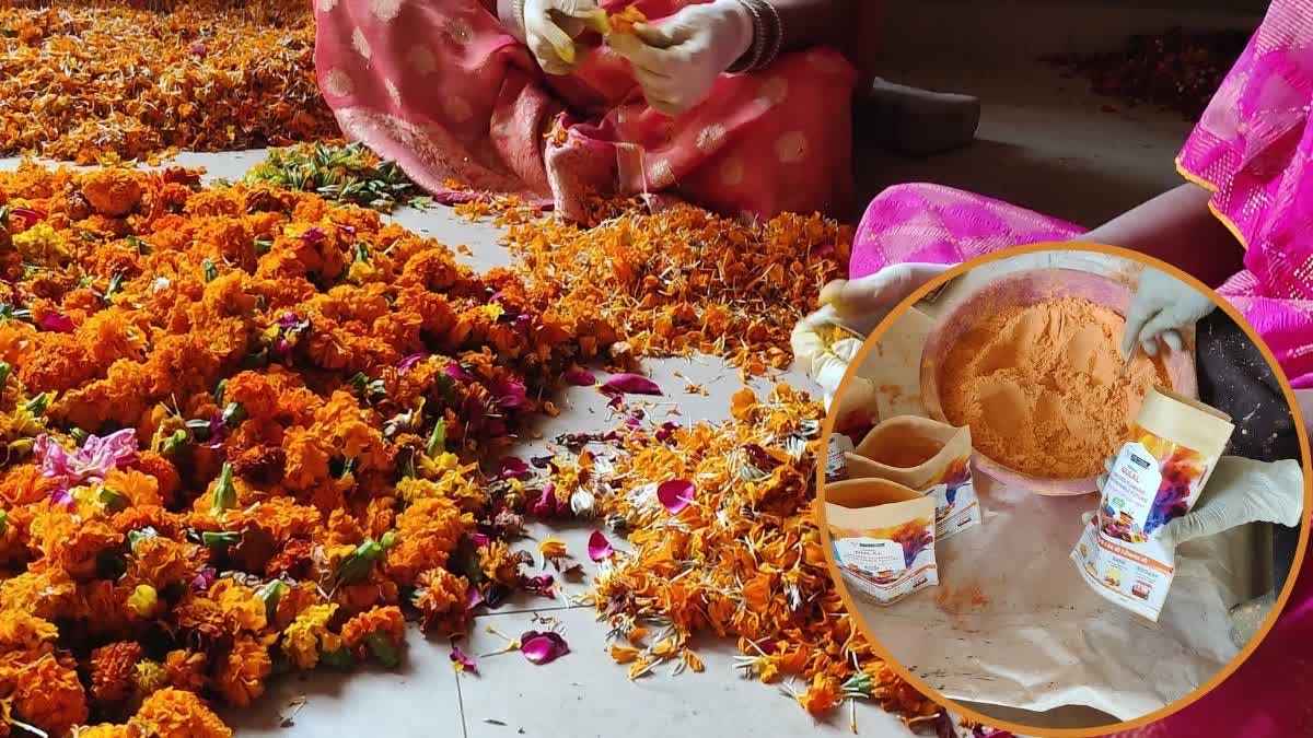 Faridabad Holi by natural gulal