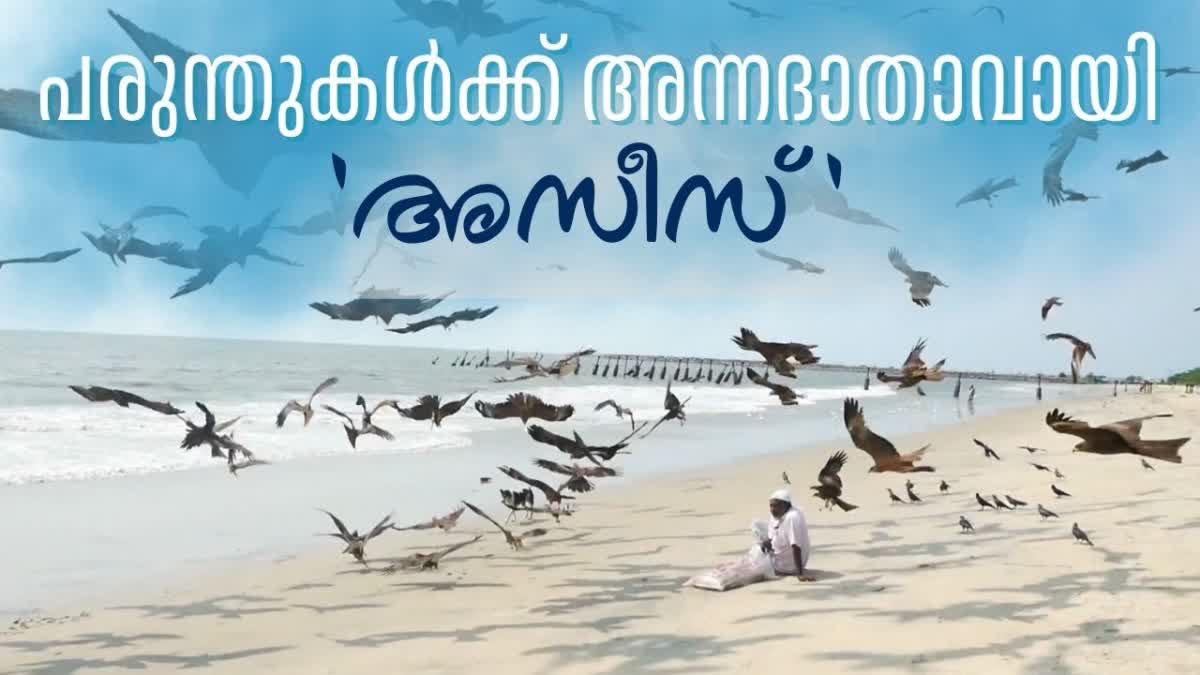 മുള്ളുങ്ങല്‍ അസീസ് കോഴിക്കോട്  പരുന്തുകളുടെ അന്നദാതാവ് അനീസ്  കോഴിക്കോട് ബീച്ച്  eagle feeder Mulungal Azees