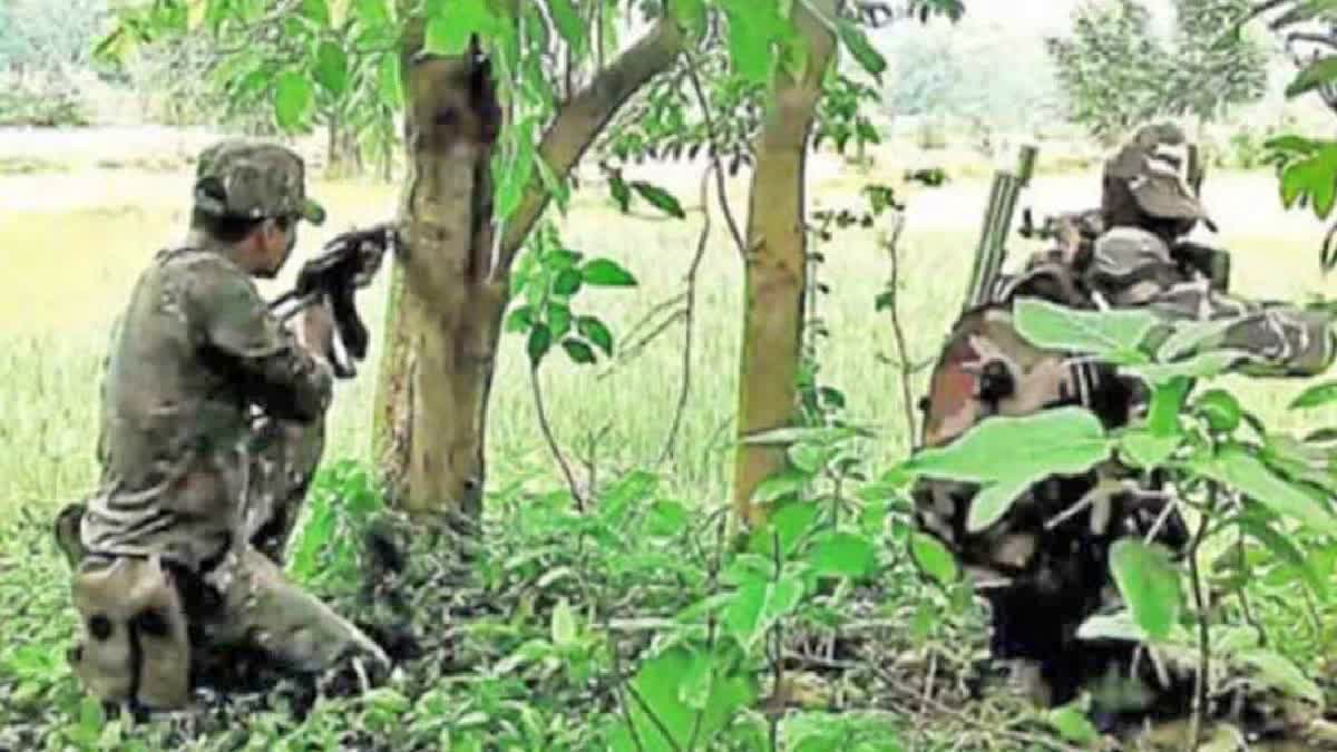 Greyhounds and SIB Face Phase out in TG