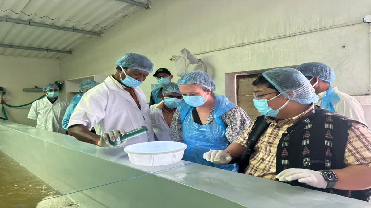 US delegation inspects Ganjam shrimp farming and brackish water farming standards