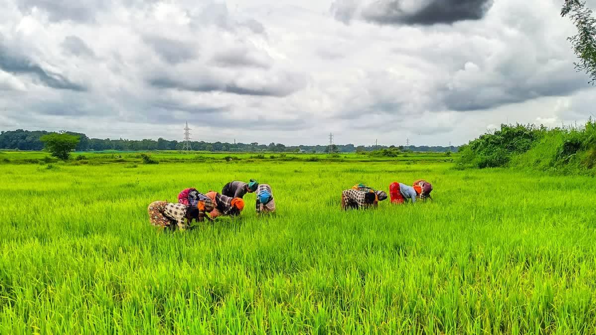 KRISHAK UNNATI YOJANA