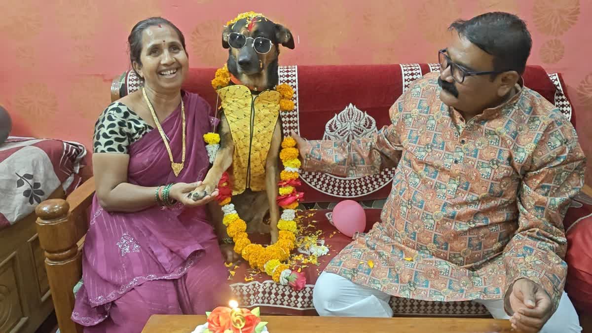 BURHANPUR DOG BIRTHDAY CELEBRATION