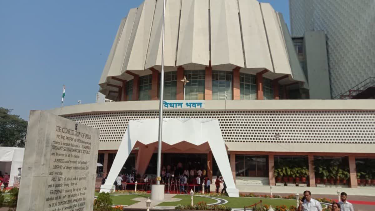 ANIL PARAB ON STRAY DOGS