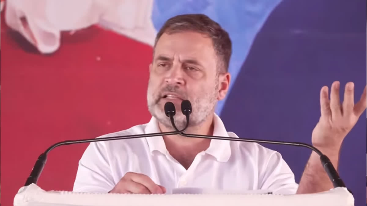 Rahul Gandhi on Congress conflict