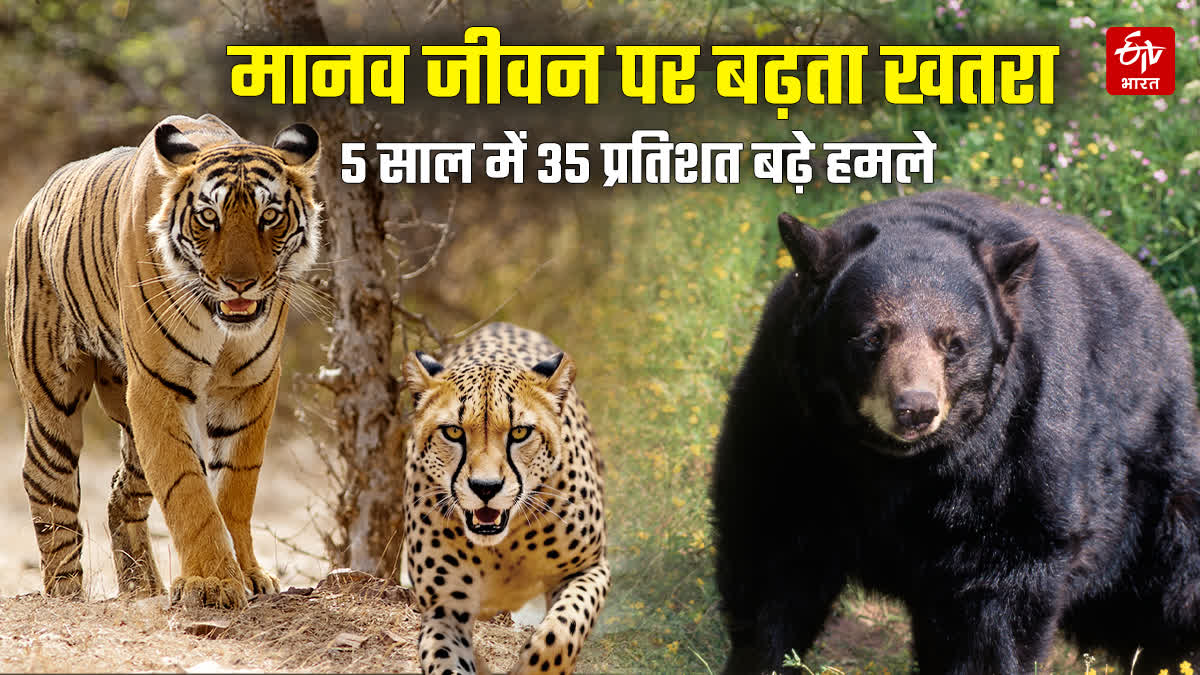MADHYA PRADESH WILD ANIMALS ATTACK