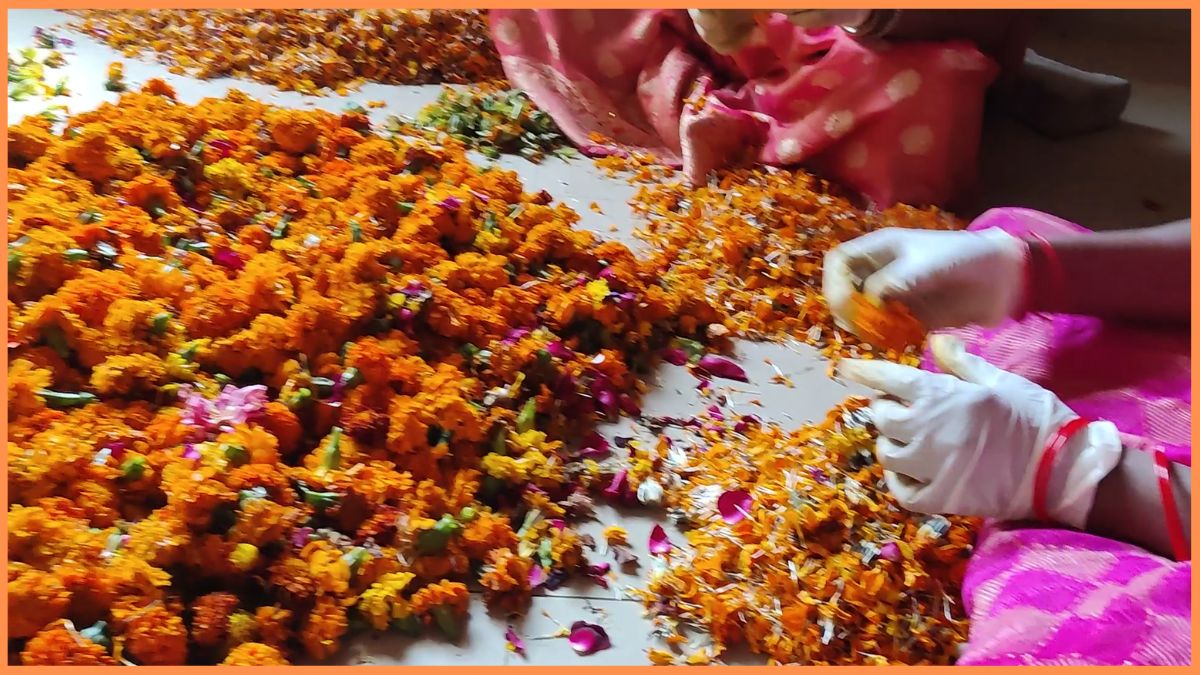 Faridabad Holi by natural gulal