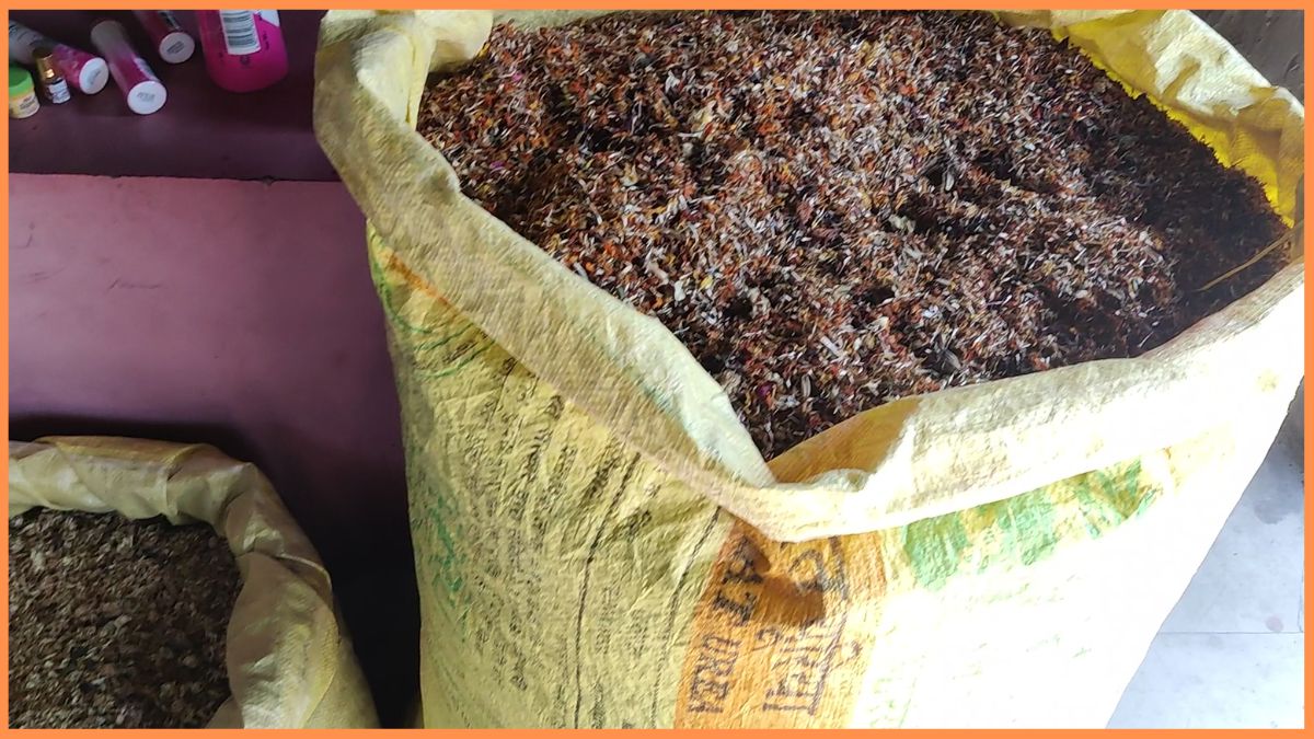 Faridabad Holi by natural gulal