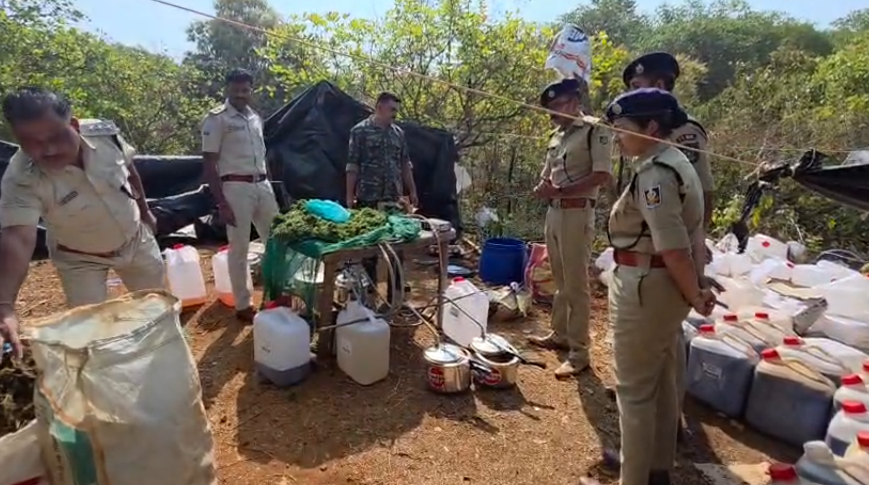 Cannabis oil production racket busted