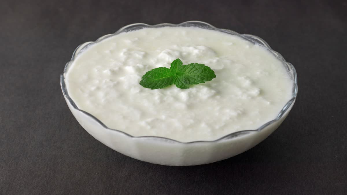 Dahi Khichdi
