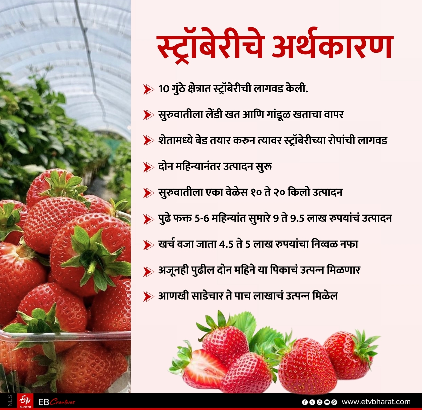 स्ट्रॉबेरीचे अर्थकारण