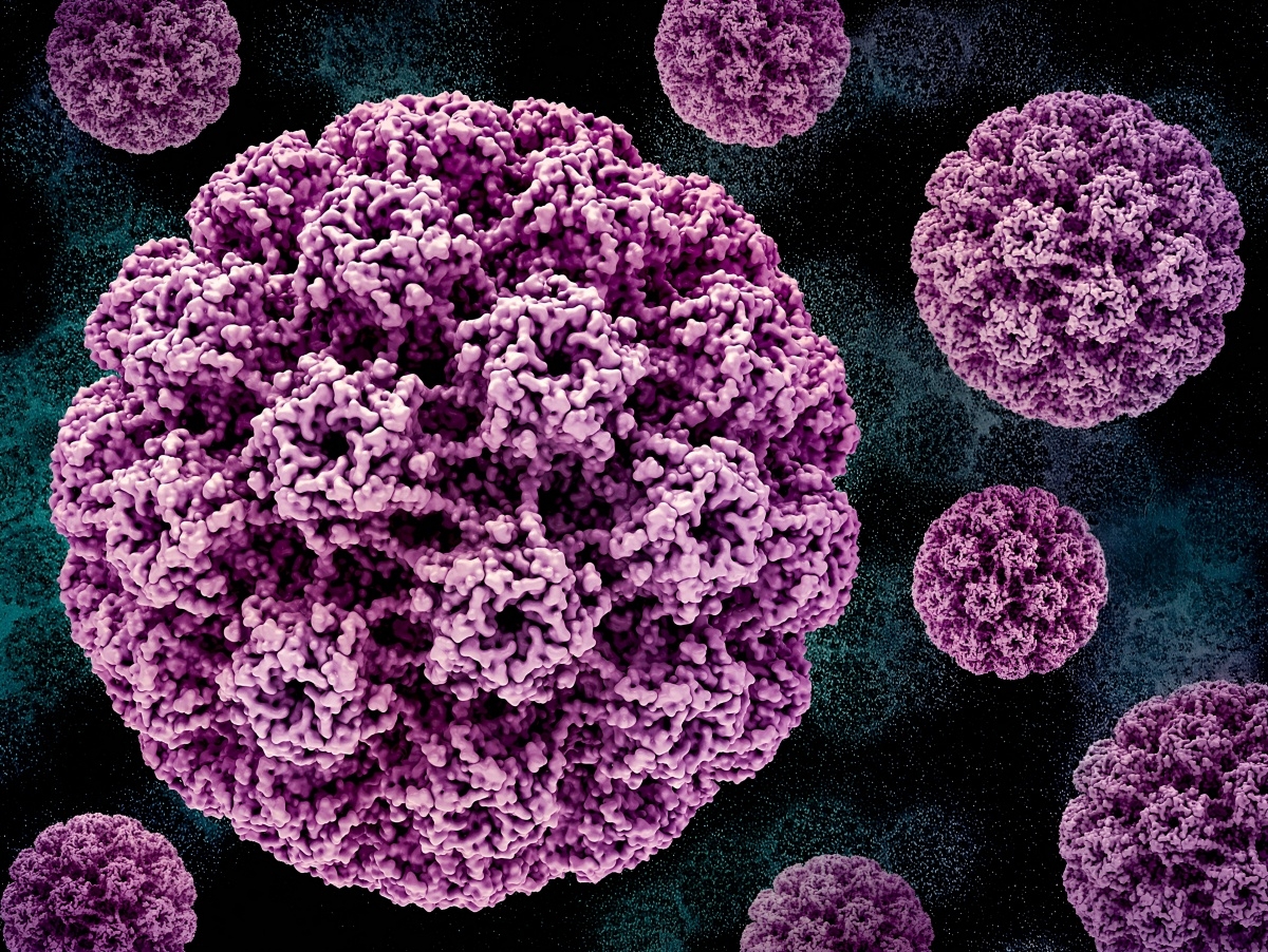 Human Papillomavirus is an equal-opportunity virus