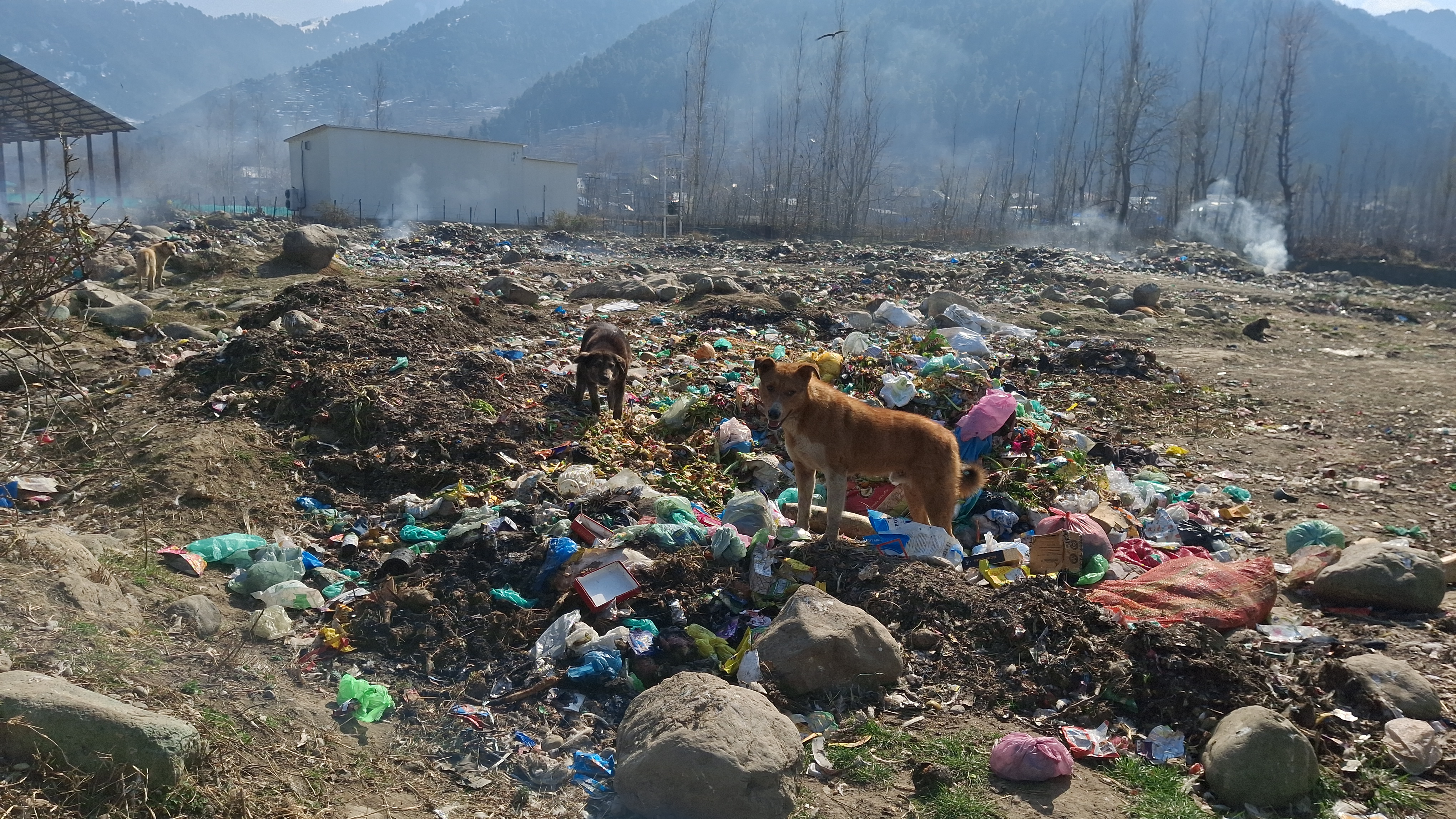 ویسٹ منیجمنٹ پلانٹ بد انتظامی  کا منظر