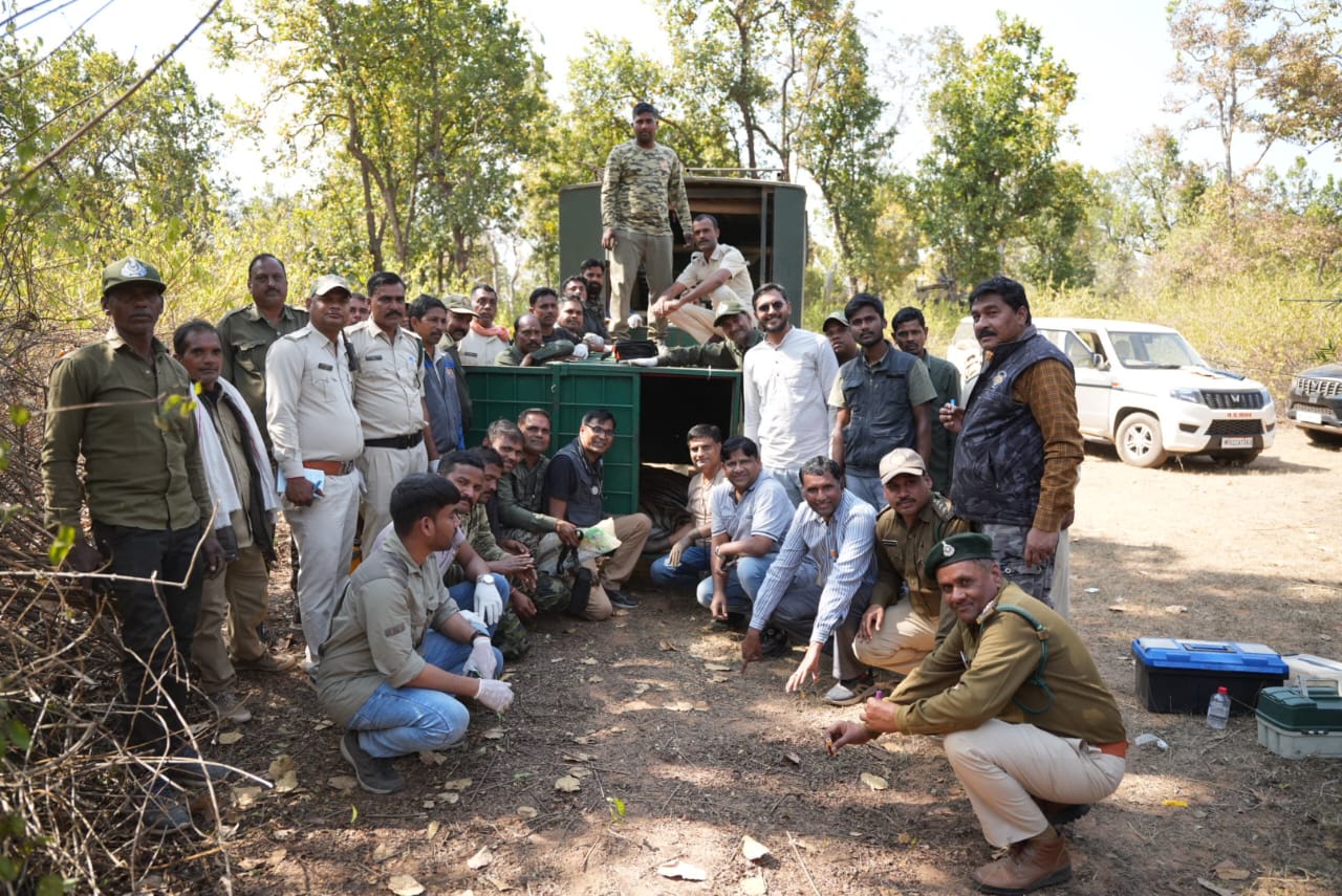 UMARIA BANDHAVGARH TIGER RESERVE