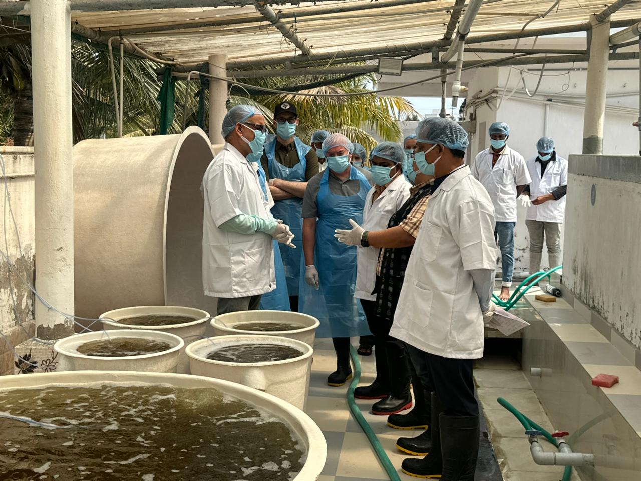 They visited the shrimp production center and brackish water farms and assessed the standards followed.