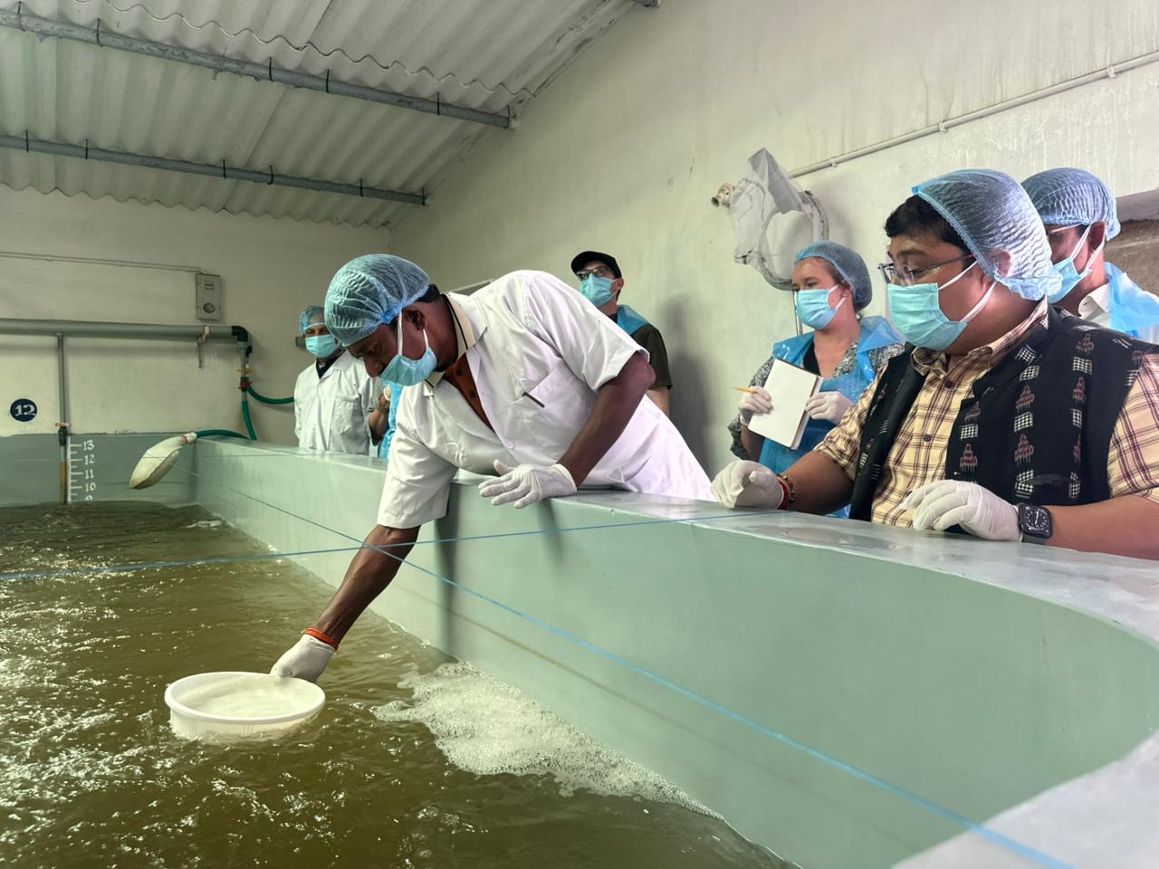 They visited the shrimp production center and brackish water farms and assessed the standards followed.