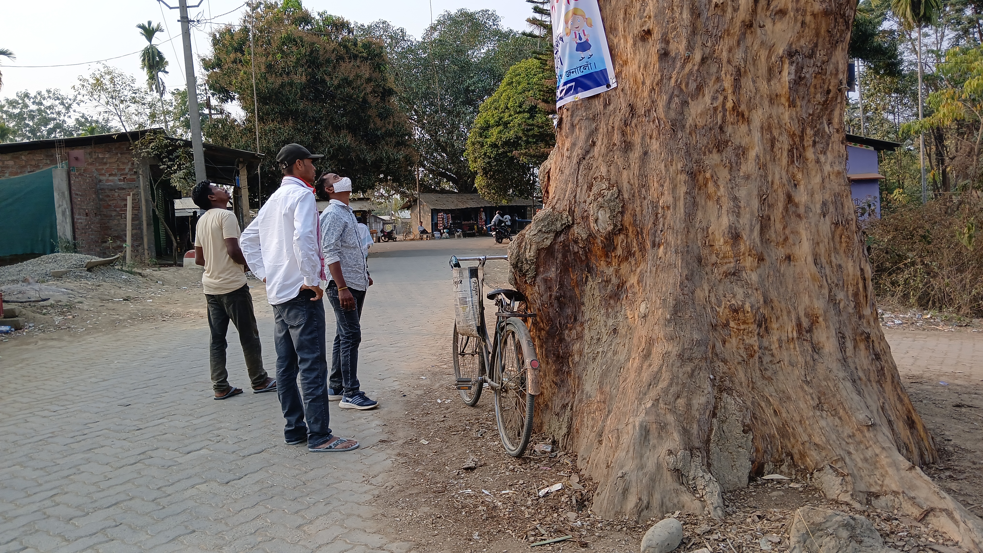An old tree and Khokanguri village in Golaghat