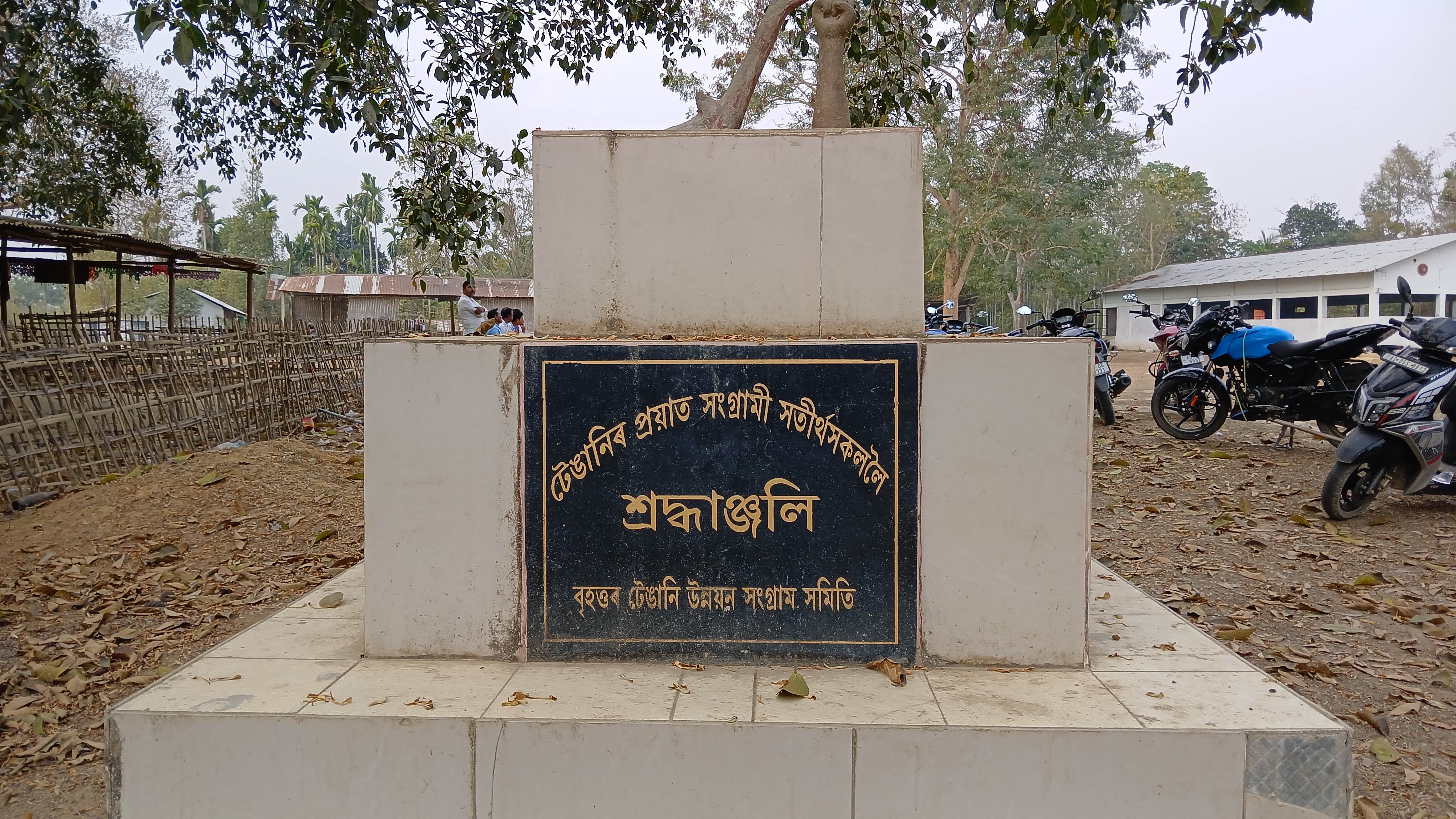 An old tree and Khokanguri village in Golaghat