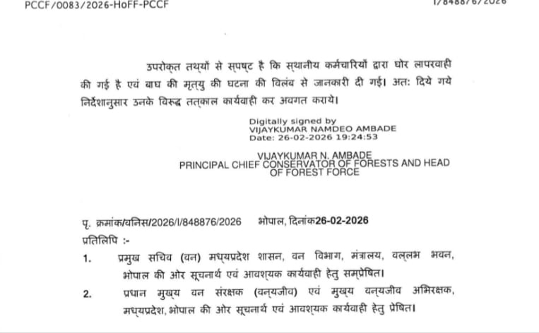 MP CHIEF CONSERVATOR FORESTS