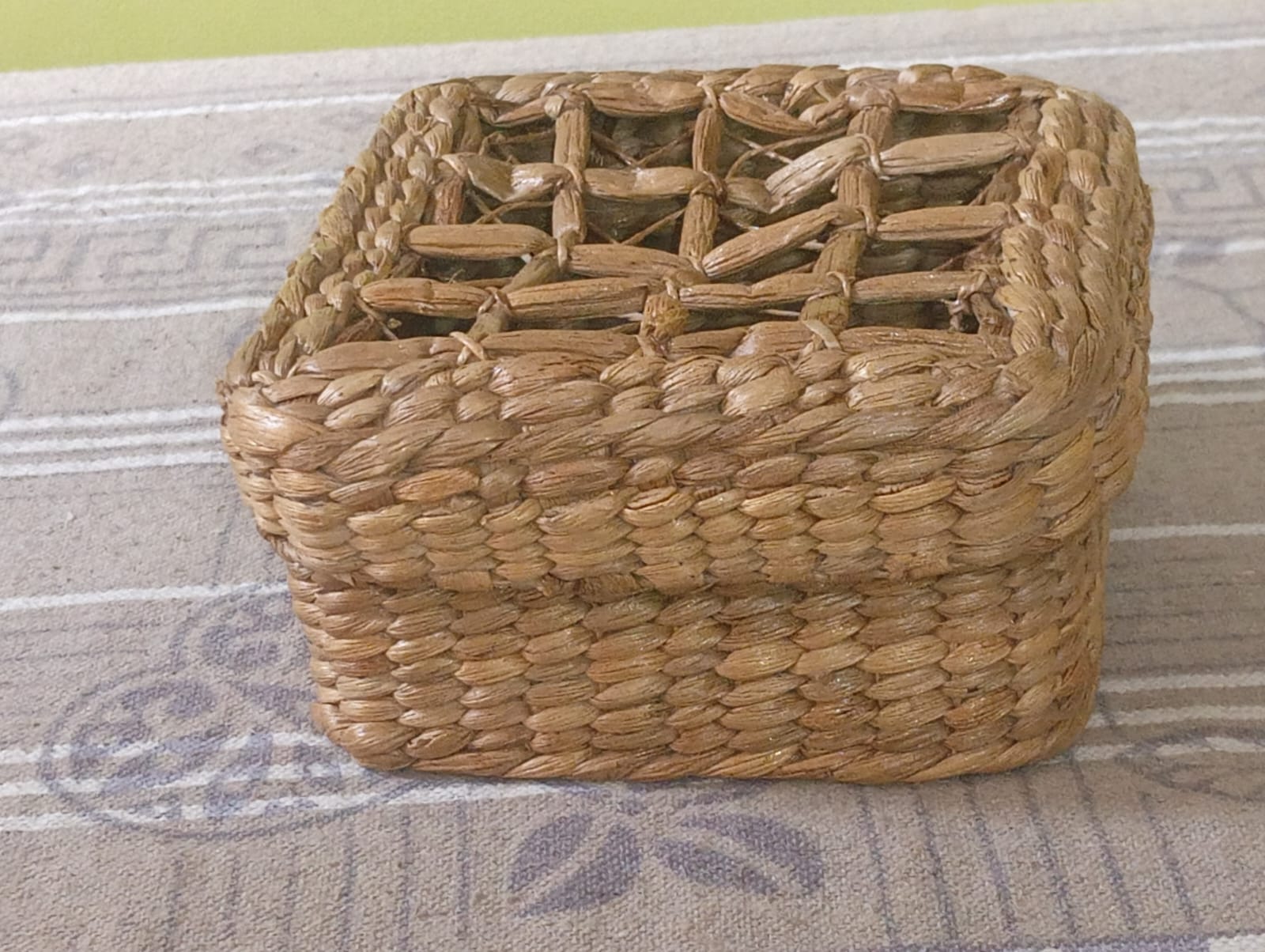 Products made from Hyacinth opens door for Woman emancipation in Assam