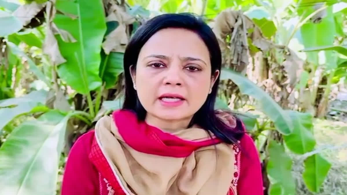 TMC's Mahua Moitra to Campaign in Bengal's Krishnanagar on Thursday, Skip ED Summons TMC's Mahua Moitra to Campaign in Bengal's Krishnanagar on Thursday, Skip ED Summons