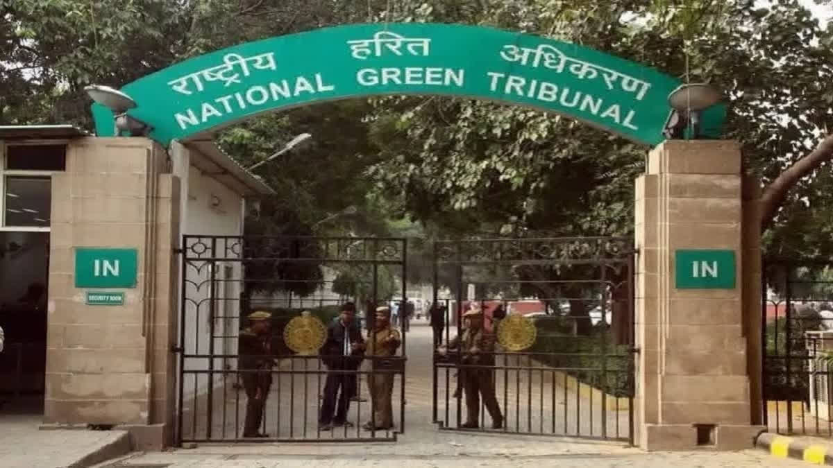 NGT To Organise National Conference On 'Environment–2025' NGT to organise national conference on 'Environment–2025'