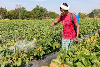 பிரதிநிதித்துவ படம்