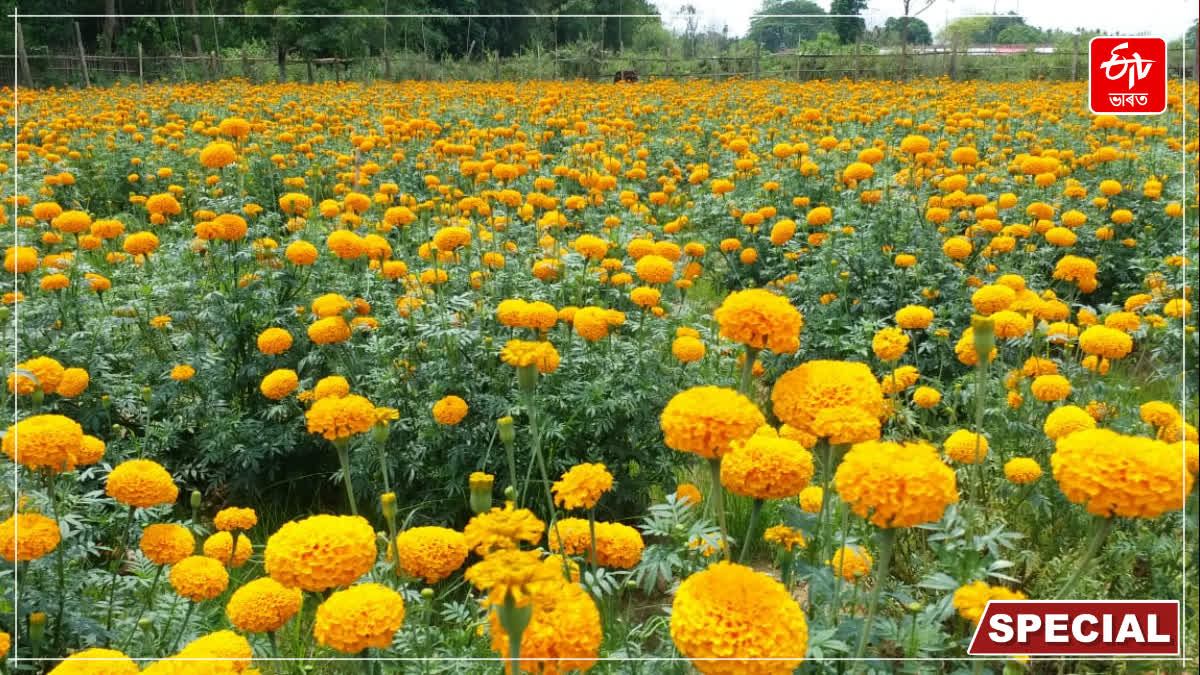 Rani woman Floriculture