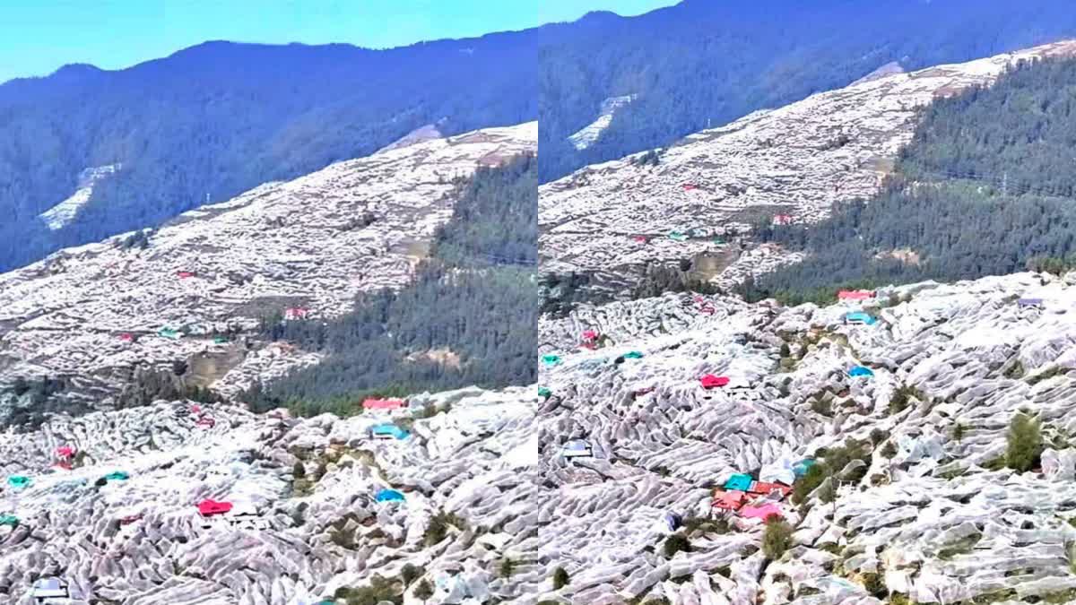 Himachal Horticulture Department