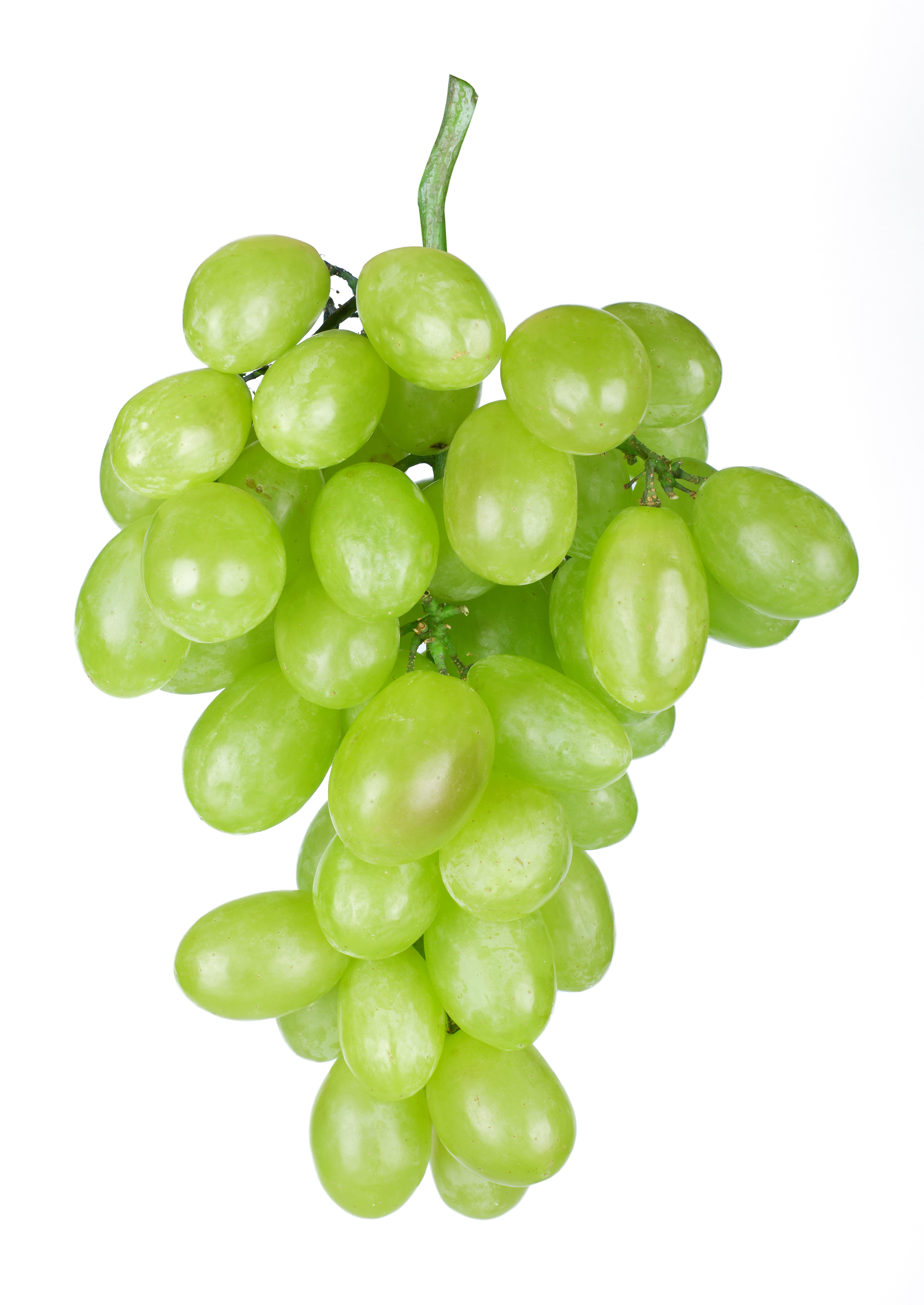 Grape Candies