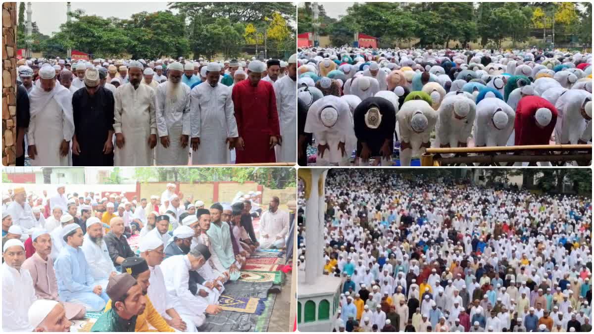 Eid  celebrates with prayers for global peace