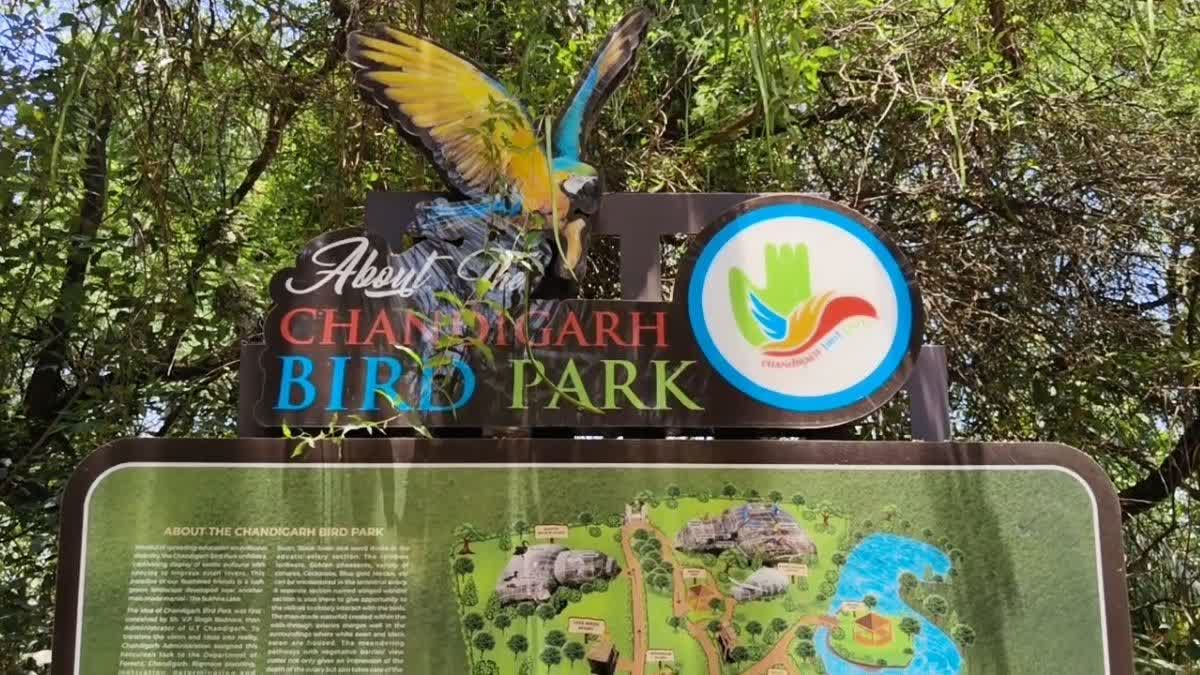 Chandigarh wildlife attraction