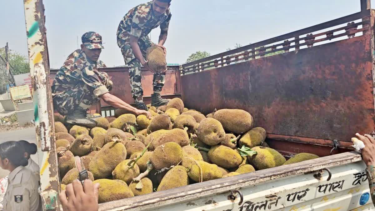 GANJA SEIZED IN ROHTAS