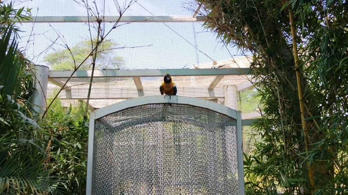 Chandigarh wildlife attraction