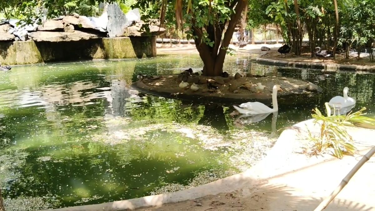 Chandigarh wildlife attraction