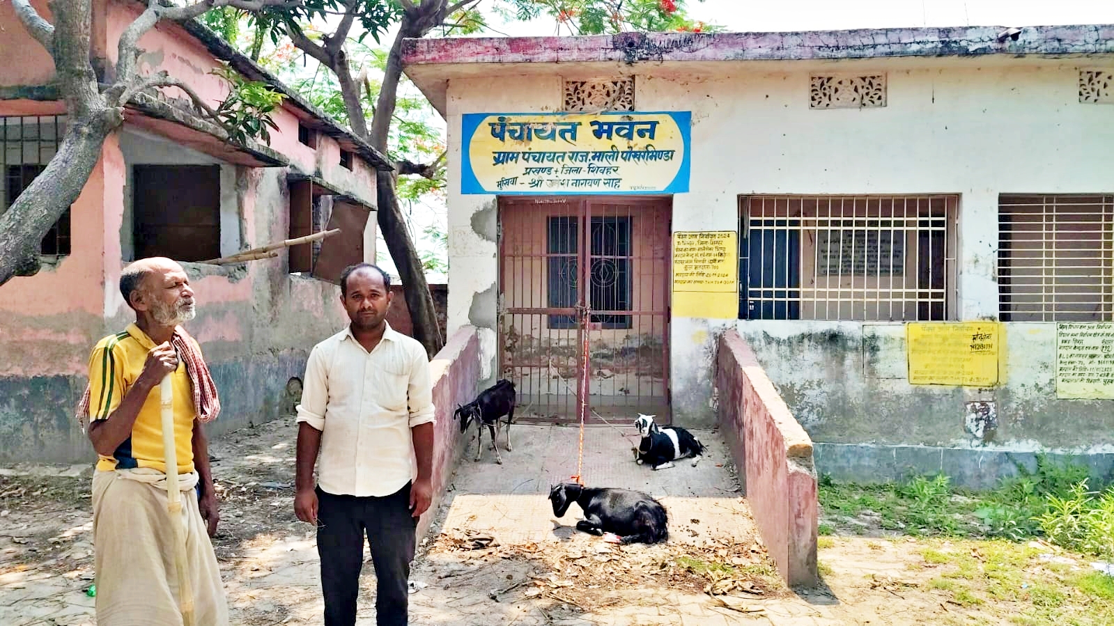 PANCHAYAT BHAWAN BECOME CATTLE SHED