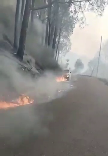 FOREST FIRES IN CHAMOLI